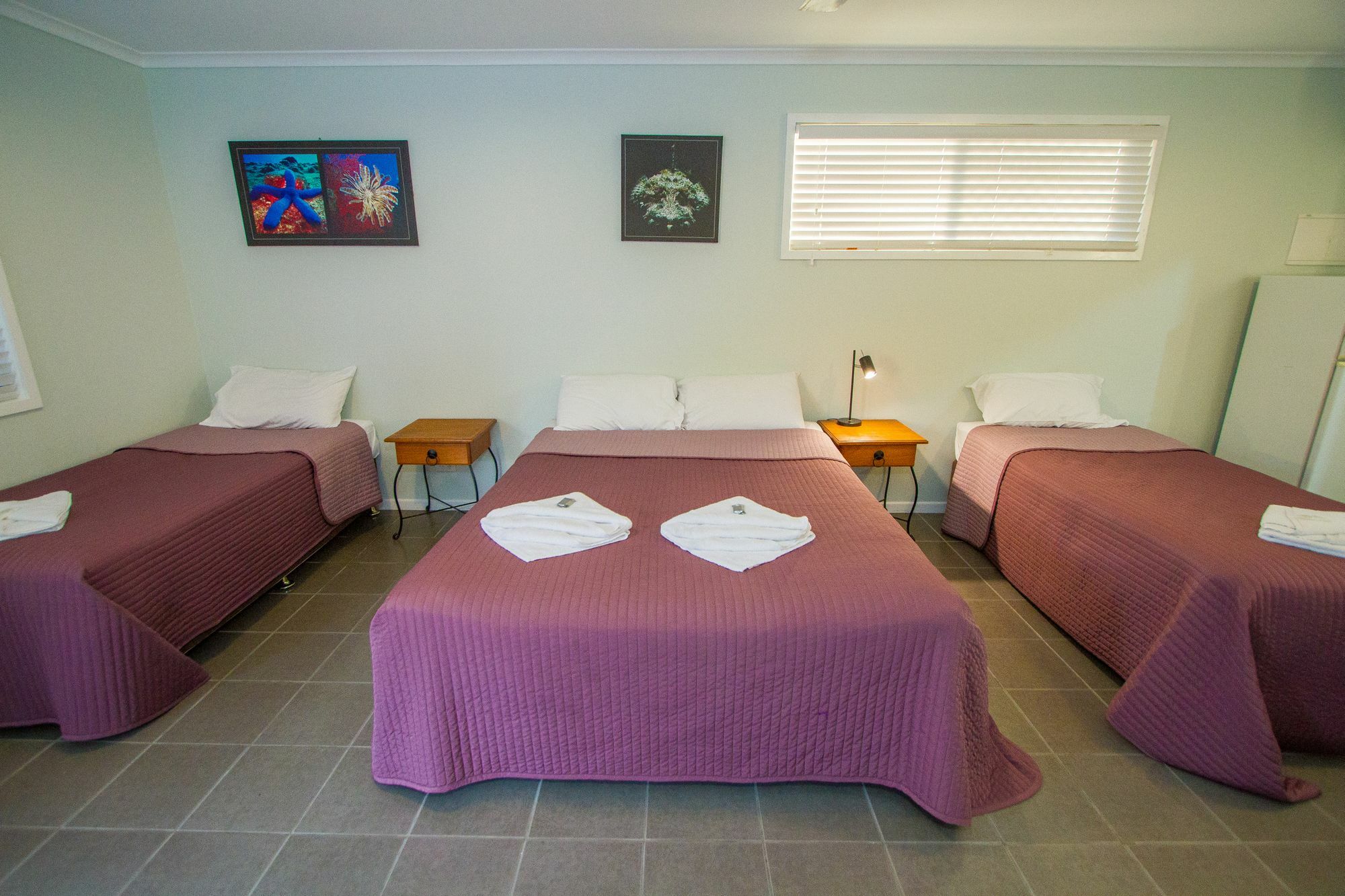 Agnes Palms Motel Agnes Water Extérieur photo